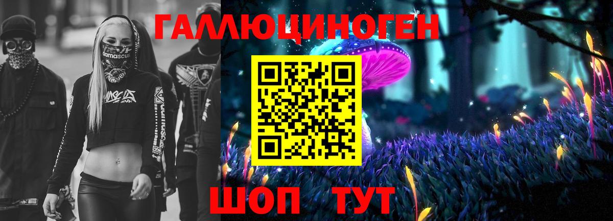дарнет шоп  Галлюциногенные грибы Magic Shrooms  Вход с VPN  Каспийск  Псилоцибиновые грибы Psilocybe 